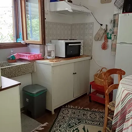 Grandpa's ηouse In 펜션