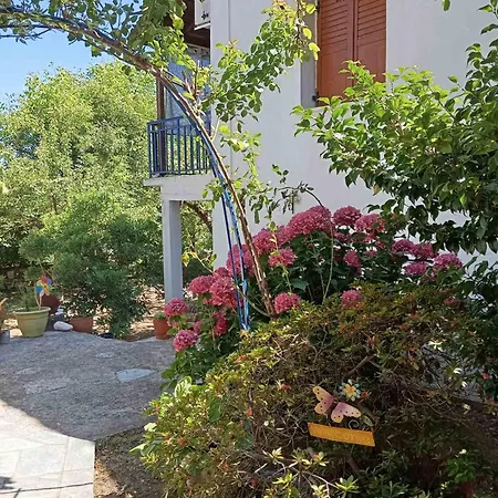 펜션 Grandpa's ηouse In