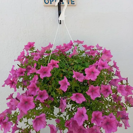 펜션 Grandpa's ηouse In 차가라다